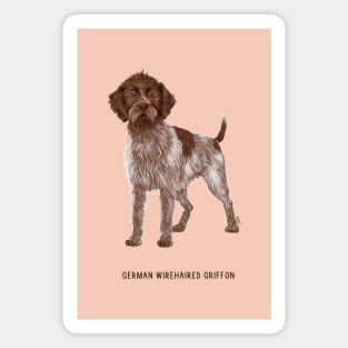 german wirehaired griffon Magnet